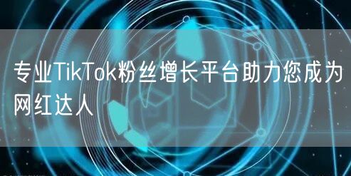 专业TikTok粉丝增长平台助力您成为网红达人