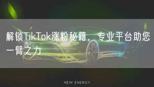 解锁TikTok涨粉秘籍，专业平台助您一臂之力