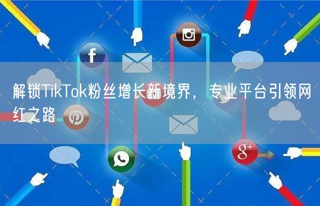 解锁TikTok粉丝增长新境界，专业平台引领网红之路