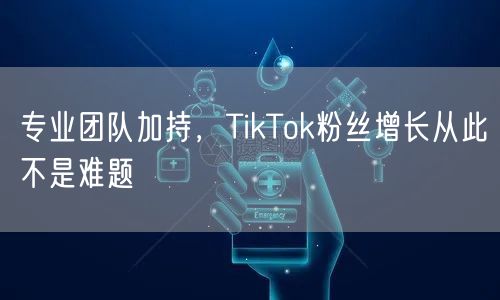 专业团队加持，TikTok粉丝增长从此不是难题