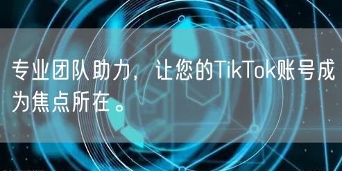 专业团队助力，让您的TikTok账号成为焦点所在。