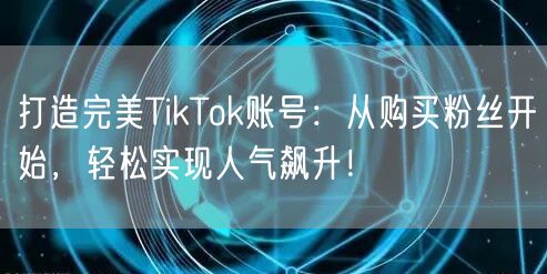 打造完美TikTok账号：从购买粉丝开始，轻松实现人气飙升！