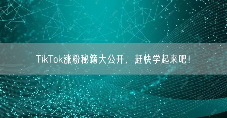 TikTok涨粉秘籍大公开，赶快学起来吧！