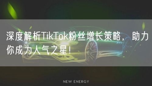 深度解析TikTok粉丝增长策略，助力你成为人气之星！