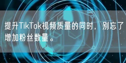 提升TikTok视频质量的同时，别忘了增加粉丝数量。