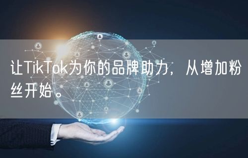 让TikTok为你的品牌助力，从增加粉丝开始。