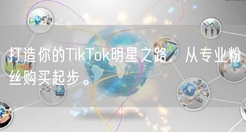 打造你的TikTok明星之路，从专业粉丝购买起步。