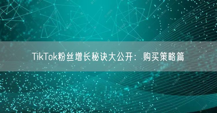 TikTok粉丝增长秘诀大公开：购买策略篇