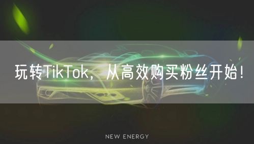 玩转TikTok，从高效购买粉丝开始！