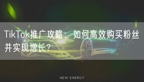 TikTok推广攻略：如何高效购买粉丝并实现增长？