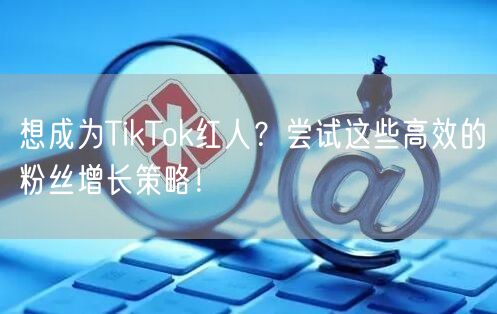 想成为TikTok红人？尝试这些高效的粉丝增长策略！