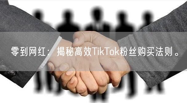零到网红：揭秘高效TikTok粉丝购买法则。