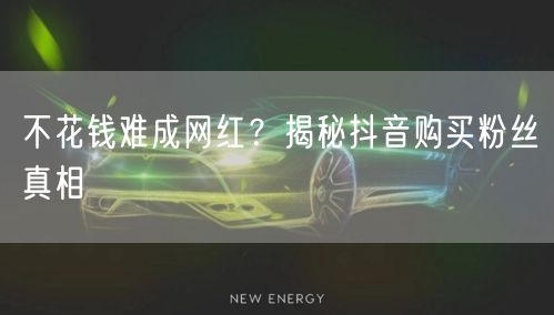 不花钱难成网红？揭秘抖音购买粉丝真相