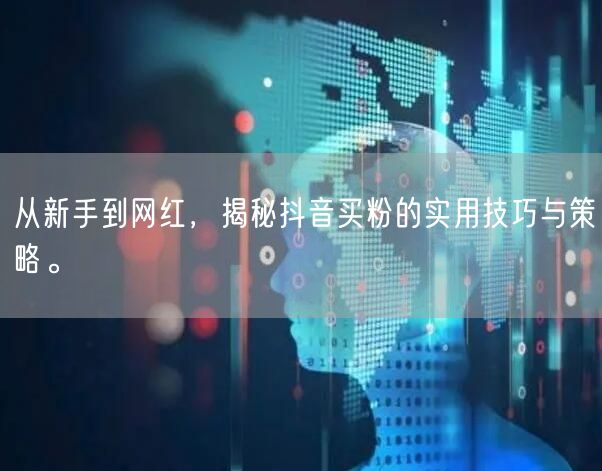 从新手到网红，揭秘抖音买粉的实用技巧与策略。