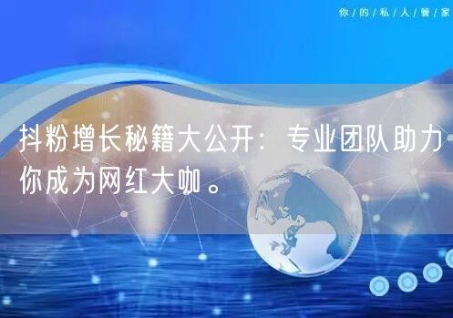 抖粉增长秘籍大公开：专业团队助力你成为网红大咖。