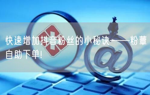 快速增加抖音粉丝的小秘诀——粉蕈自助下单!