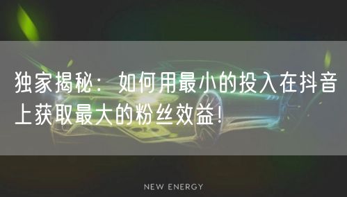 独家揭秘：如何用最小的投入在抖音上获取最大的粉丝效益！