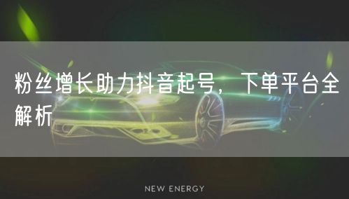 粉丝增长助力抖音起号，下单平台全解析