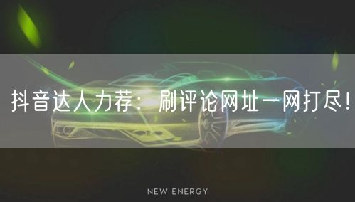 抖音达人力荐：刷评论网址一网打尽！