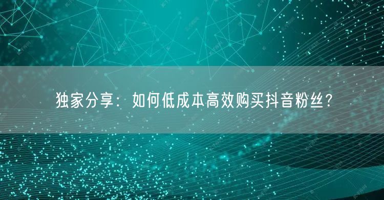 独家分享：如何低成本高效购买抖音粉丝？