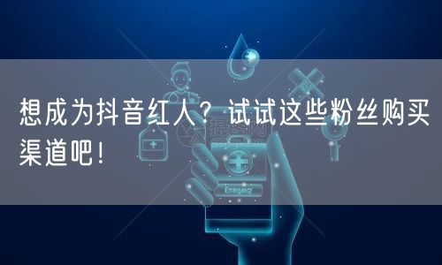 想成为抖音红人？试试这些粉丝购买渠道吧！