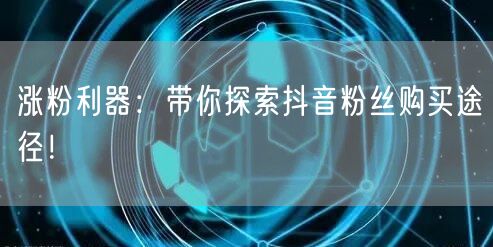 涨粉利器：带你探索抖音粉丝购买途径！
