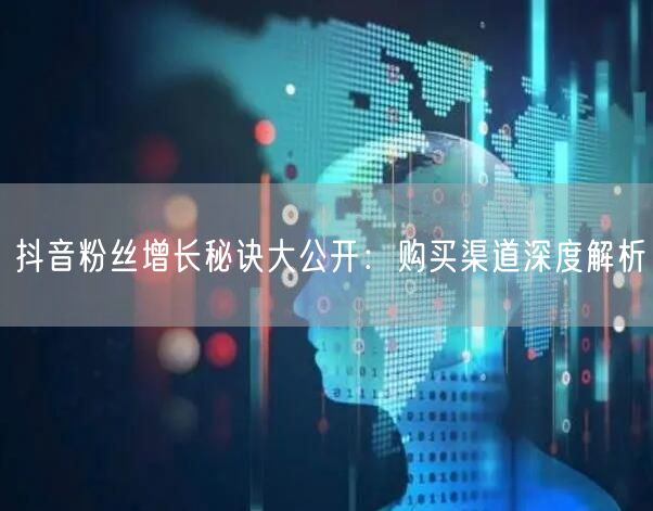 抖音粉丝增长秘诀大公开：购买渠道深度解析