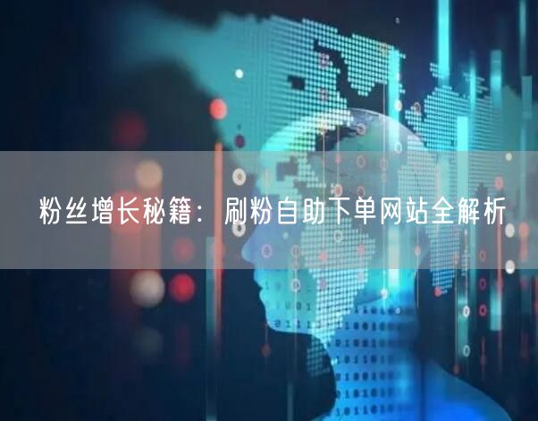 粉丝增长秘籍：刷粉自助下单网站全解析