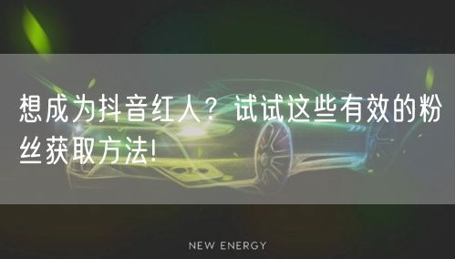 想成为抖音红人？试试这些有效的粉丝获取方法!