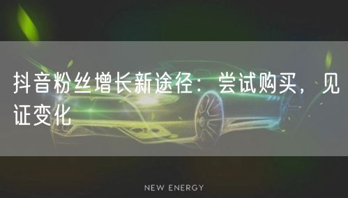 抖音粉丝增长新途径：尝试购买，见证变化