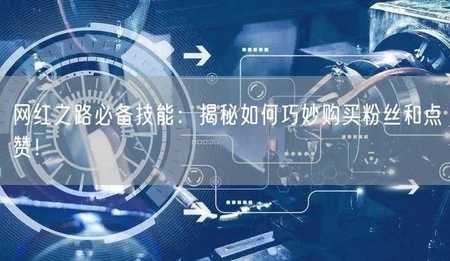 网红之路必备技能：揭秘如何巧妙购买粉丝和点赞！