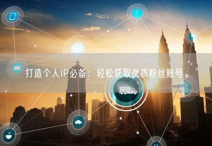 打造个人IP必备：轻松获取优质粉丝账号。