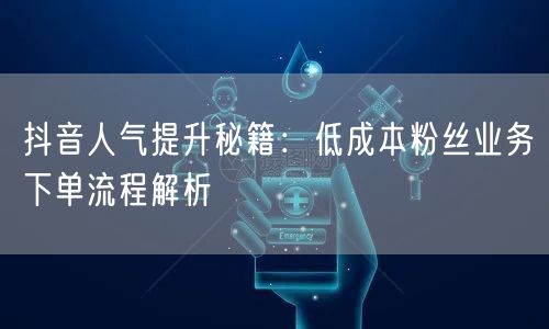 抖音人气提升秘籍：低成本粉丝业务下单流程解析