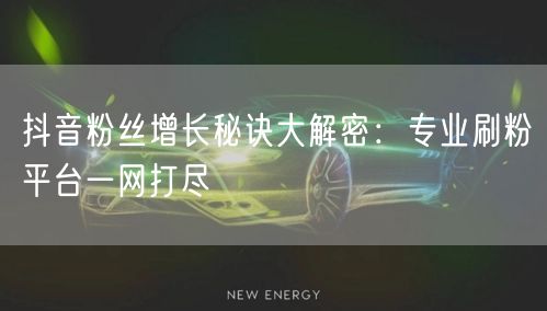抖音粉丝增长秘诀大解密：专业刷粉平台一网打尽