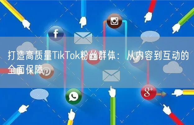打造高质量TikTok粉丝群体：从内容到互动的全面保障