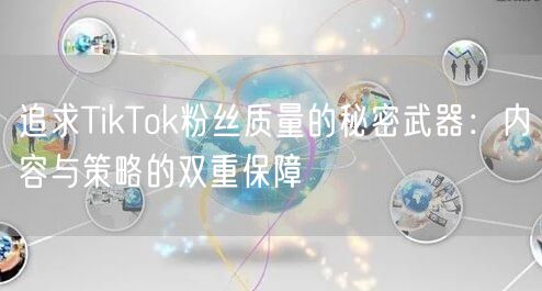 追求TikTok粉丝质量的秘密武器：内容与策略的双重保障