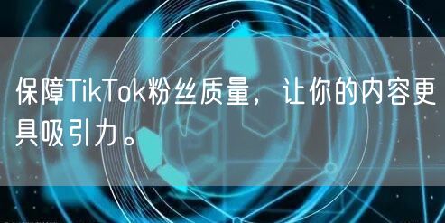 保障TikTok粉丝质量，让你的内容更具吸引力。