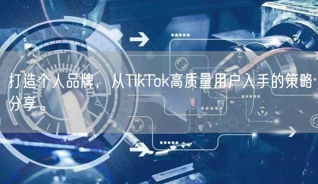 打造个人品牌，从TikTok高质量用户入手的策略分享。