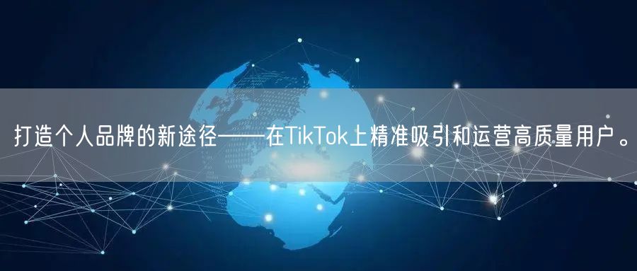 打造个人品牌的新途径——在TikTok上精准吸引和运营高质量用户。