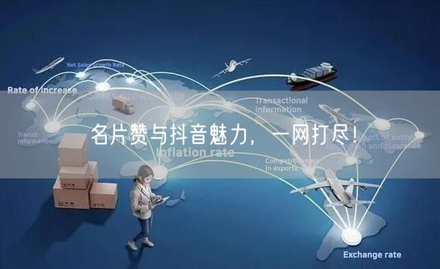 名片赞与抖音魅力,一网打尽!