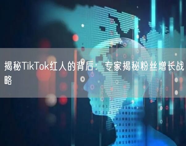 揭秘TikTok红人的背后：专家揭秘粉丝增长战略