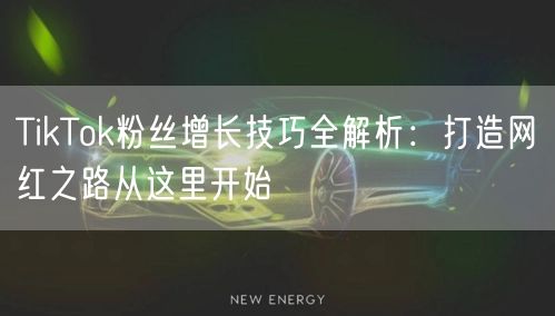 TikTok粉丝增长技巧全解析：打造网红之路从这里开始