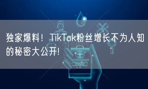 独家爆料！TikTok粉丝增长不为人知的秘密大公开!