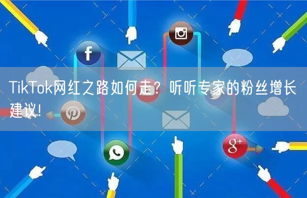 TikTok网红之路如何走？听听专家的粉丝增长建议!
