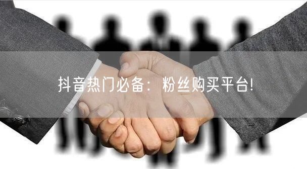 抖音热门必备：粉丝购买平台!