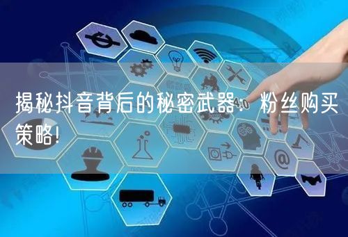 揭秘抖音背后的秘密武器：粉丝购买策略!