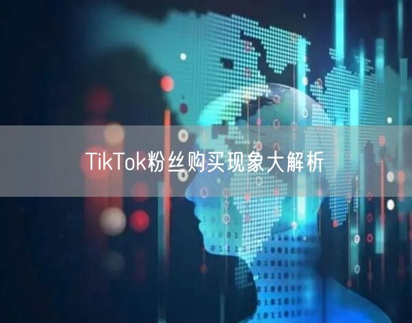 TikTok粉丝购买现象大解析