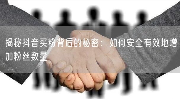 揭秘抖音买粉背后的秘密：如何安全有效地增加粉丝数量