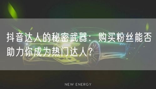抖音达人的秘密武器：购买粉丝能否助力你成为热门达人？