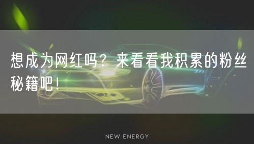 想成为网红吗？来看看我积累的粉丝秘籍吧！